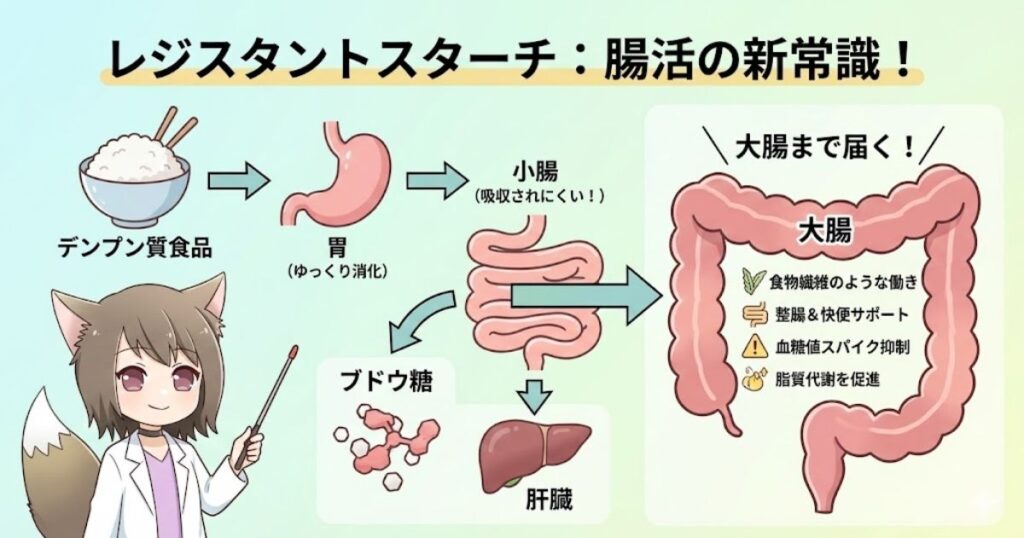 お米は冷えると「レジスタントスターチ（難消化性デンプン）」という成分に変化