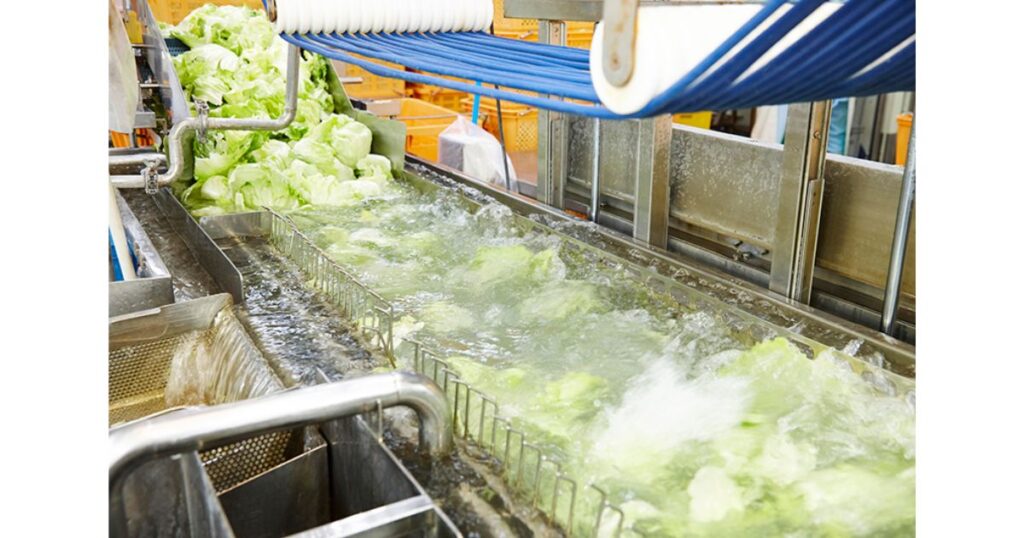 野菜を洗っている