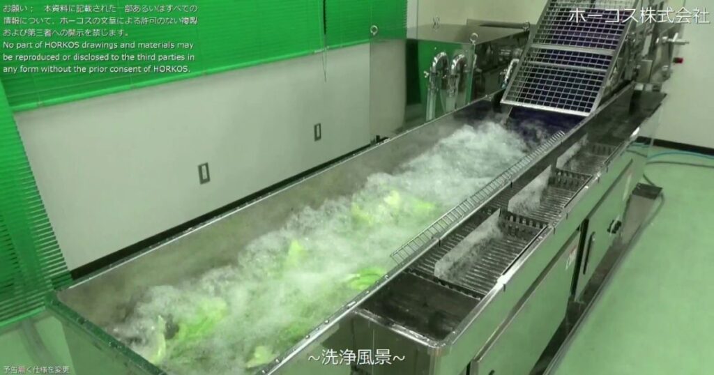 野菜洗浄工程（企業）