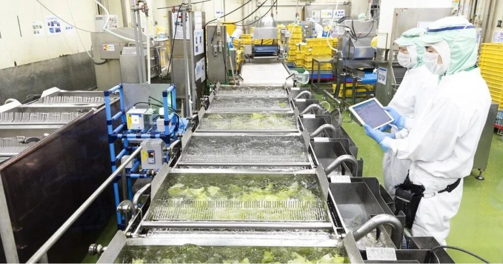 衛生管理が徹底された工場で、千切りキャベツが水流で洗浄されている加工工程の様子