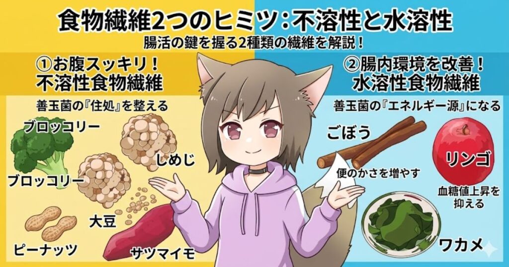 不溶性食物繊維と水溶性食物繊維の違いや、それぞれを多く含む食材（ブロッコリーやリンゴなど）を女性キャラクターが解説している図解