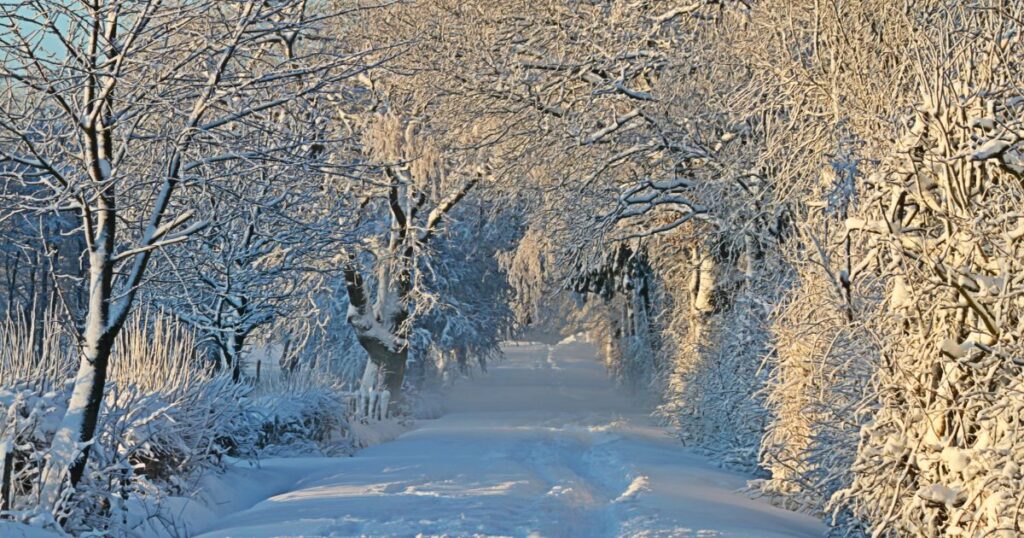 冬季の訪問時に注意が必要な、雪に覆われた大子町の凍結道路のイメージ