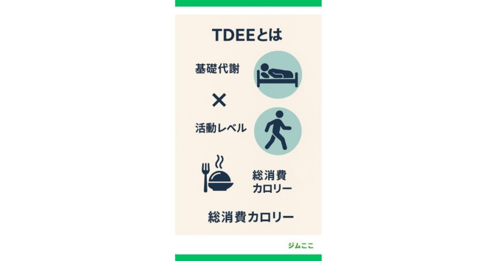 基礎代謝と活動レベルを掛けて総消費カロリー（TDEE）を算出する計算式の図解