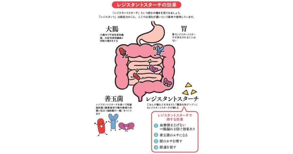 冷やし焼き芋で増える「レジスタントスターチ」の働きと腸内環境改善効果の図解