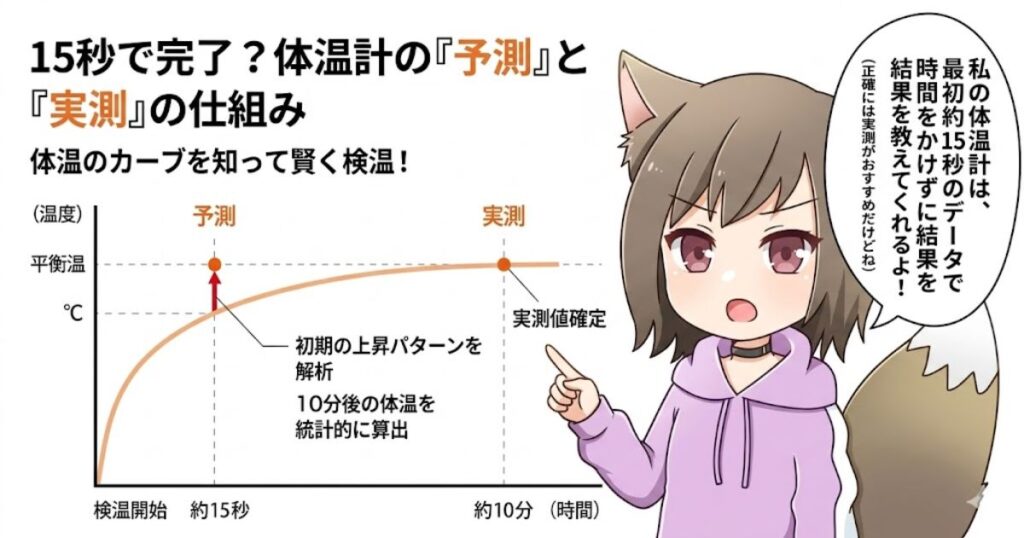 体温計の『予測式』と『実測式』の仕組みの違いを解説するグラフと狐耳の女の子のイラスト