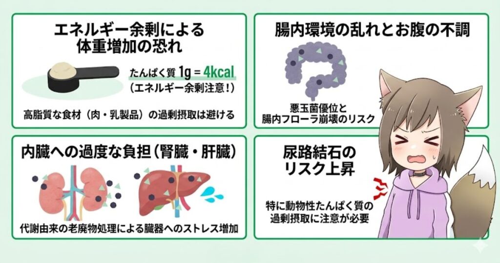 タンパク質の過剰摂取による4つのリスク（体重増加、腸内環境の乱れ、腎臓や肝臓への負担、尿路結石）の図解と、辛そうな表情でお腹を押さえる女性キャラクターのイラスト
