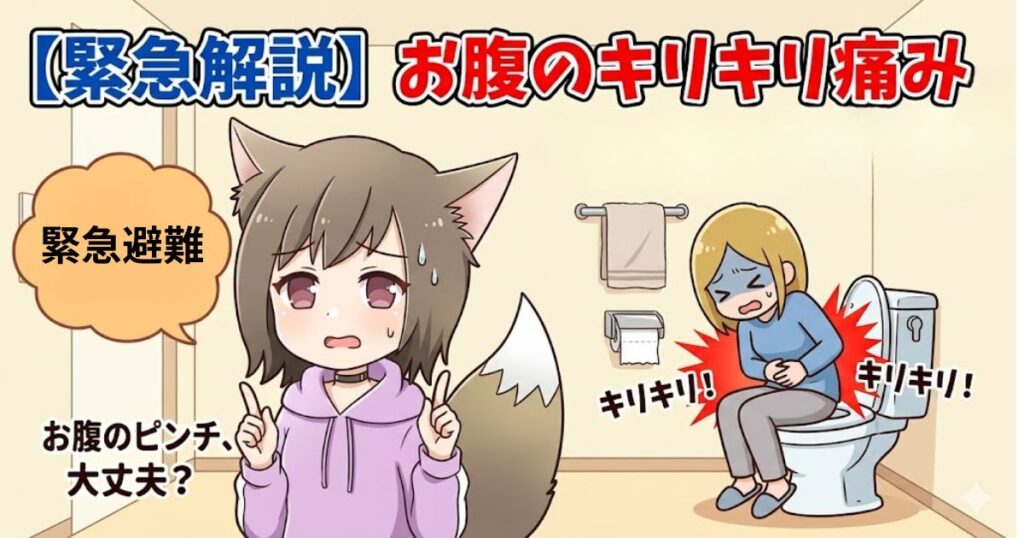 「緊急解説 お腹のキリキリ痛み」という図解。トイレで腹痛に苦しむ女性と、それを焦りながら心配そうに見守る猫耳のキャラクターのイラスト。
